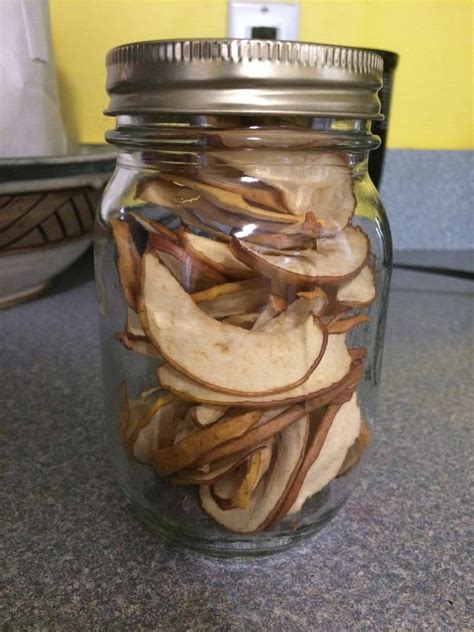 Dehydrating Apple Slices : 3 Steps - Instructables