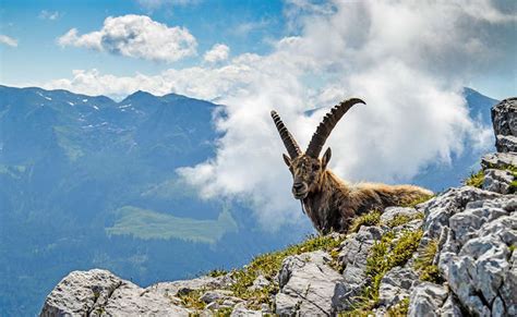 Berchtesgaden National Park Area