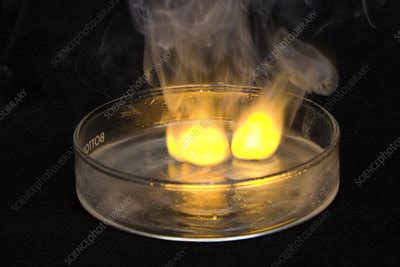 Sodium Reacting with Water - Stock Image - C027/9611 - Science Photo ...