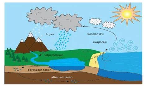 Proses Kondensasi Pada Siklus Air Kelas - IMAGESEE