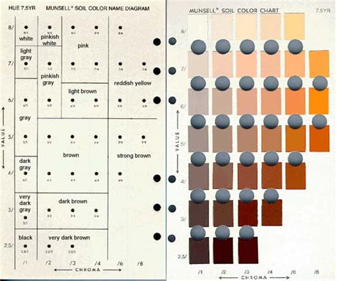 Make Your Own Soil Color Book | DirtArtful