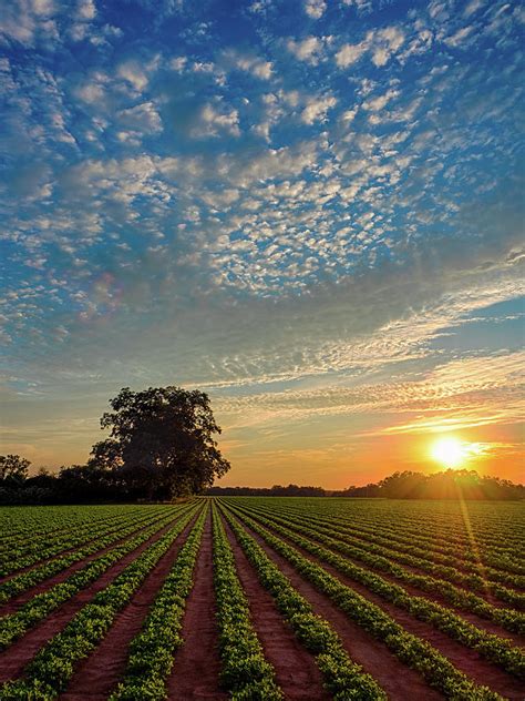 Beautiful Farm Sunset Photograph by Brad Boland