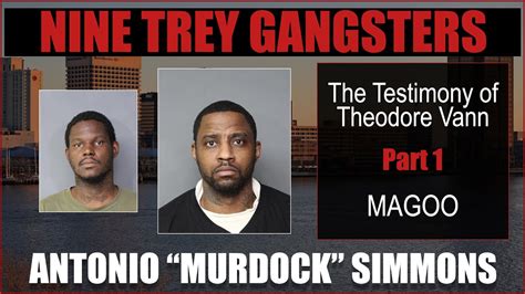 Theodore Vann takes the stand against Antonio Murdock Simmons and the Nine Trey Gangster Bloods ...