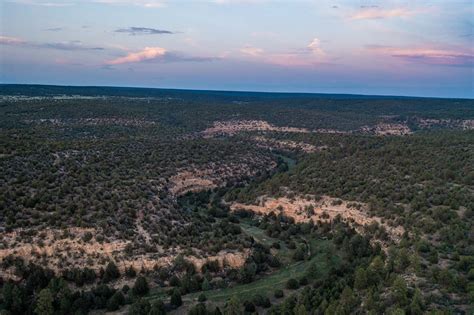 Canon Blanco Ranch - Sold - New Mexico - Hall and Hall