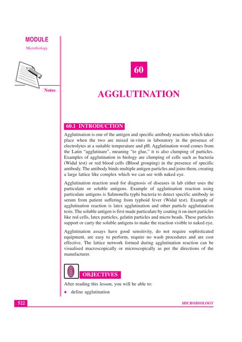 AGGLUTINATION