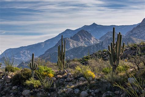 Morning Sun in the Mountains, Tucson, AZ, USA [1400x933][OC] : r/EarthPorn