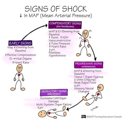 Even artichokes have hearts. | Nursing mnemonics, Nursing school ...