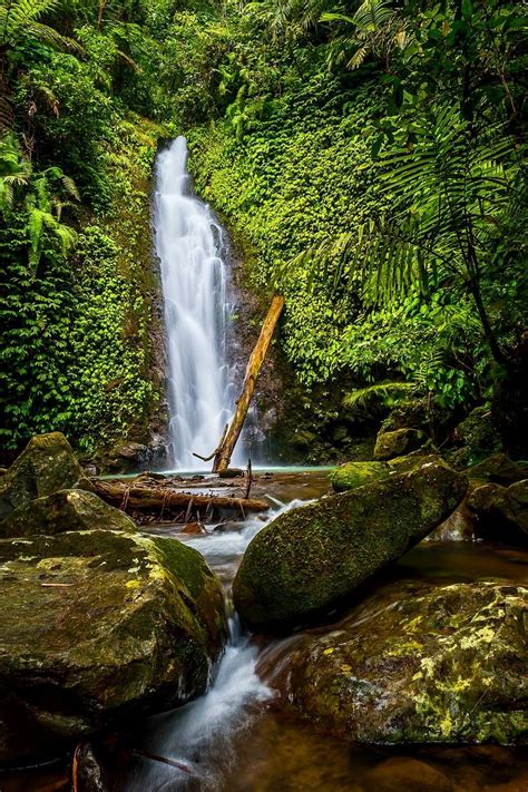 Forest Waterfall, Bukidnon, Philippines. located in the Northern ...