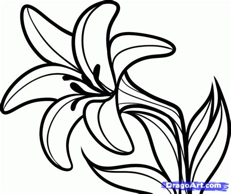 Free Cartoon Lily Flower, Download Free Cartoon Lily Flower png images, Free ClipArts on Clipart ...