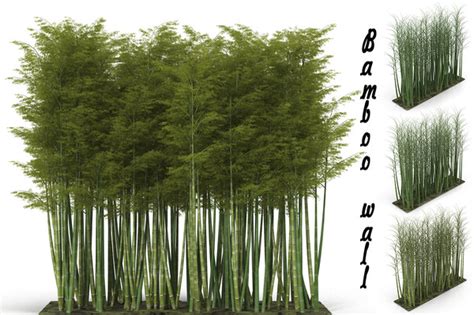 Bamboo 3D Models for Download | TurboSquid