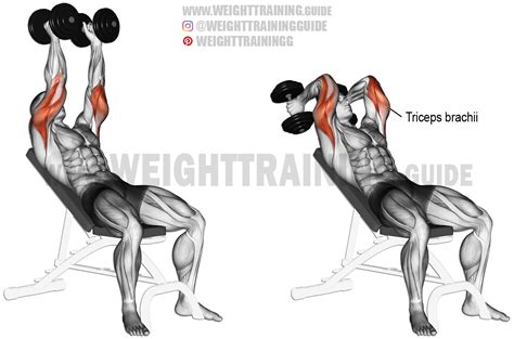 Incline dumbbell triceps extension exercise instructions and video