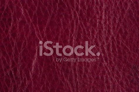 Red Leather Stock Photo | Royalty-Free | FreeImages