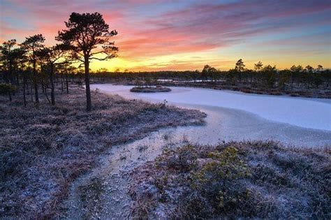 Estonia by Sven Zacek | Estonia, Winter pictures, Landscape