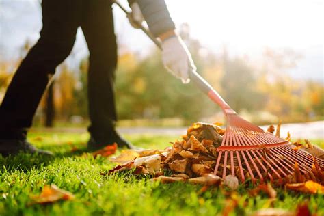 Landscape Rake Vs. Box Blade: What's The Difference?