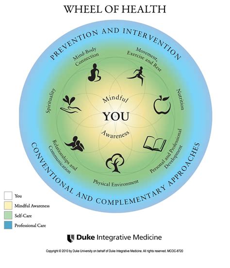 Wheel of Health - Frances Stewart