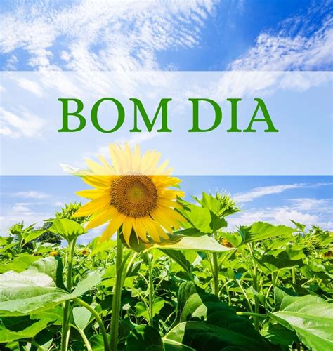 Imagens de Bom Dia, Alo Consiga fotos de bom dia lindas para enviar aqui