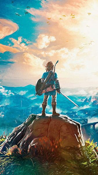 Zelda, gamer, switch, wii, HD mobile wallpaper | Peakpx