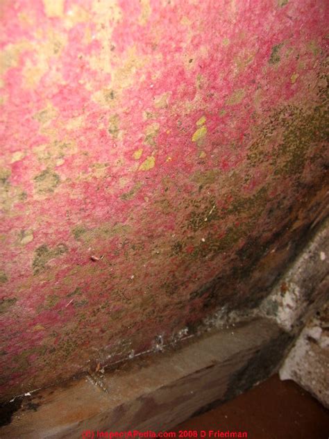 Red mold growth on building surfaces: what does red mold contamination look like on indoor surfaces?