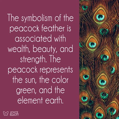 Peacock Feather Meaning: 5 Powerful Symbolisms - Joyce Elliott