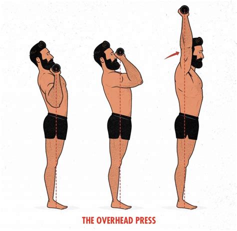 The Overhead Press Hypertrophy Guide – Outlift