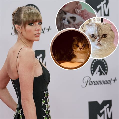 Taylor Swift Cats Guide: Names, Net Worths, Photos