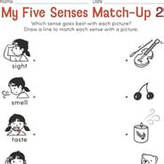 50 Science Printable Worksheets for First Grade and Homeschool ... - Worksheets Library