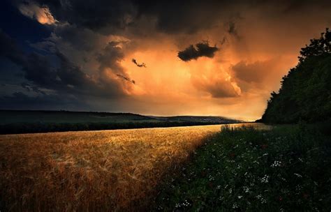 field, Wildflowers, Clouds, Hill, Storm, Sunset, Poland, Nature ...