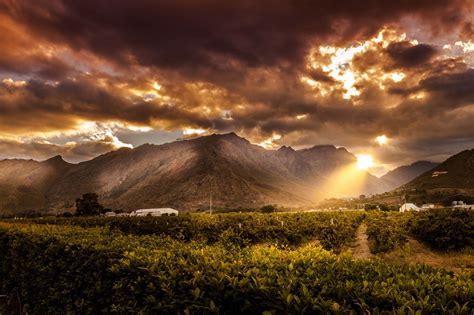 Rawsonville Love Light | Wine tourism, South africa wine, Natural landmarks