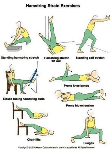 EXCLUSIVE PHYSIOTHERAPY GUIDE FOR PHYSIOTHERAPISTS: EXERCISE FOR HAMSTRING STRAIN | Hamstring ...