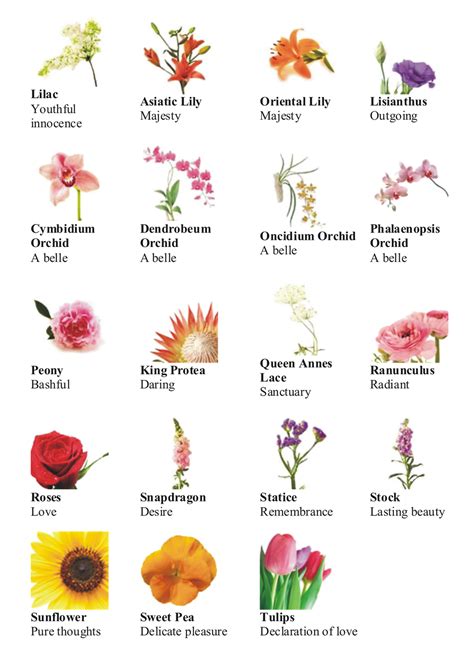 Different Types Of Pink Flowers