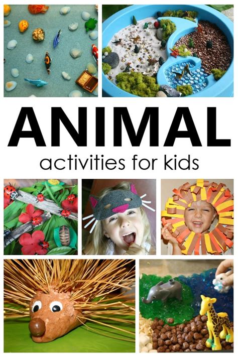 35+ Playful Animal Activities for Kids - Fantastic Fun & Learning