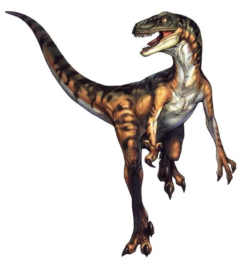 Velociraptor | Dino Crisis Wiki | FANDOM powered by Wikia