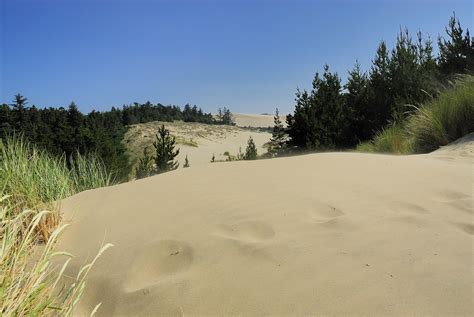 259 Florence Sand Dunes | bspaleniec | Flickr