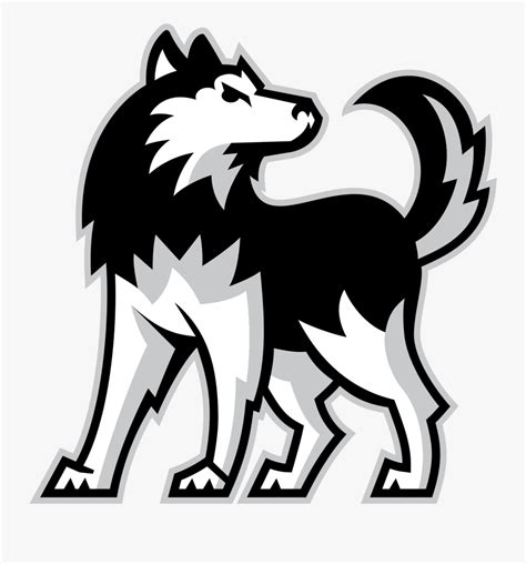 Transparent Husky Mascot Clipart - Niu Huskies , Free Transparent ...