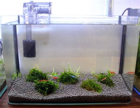 East Ocean Aquatic Trading Centre: Setup a 10L shrimp tank with only $77.50