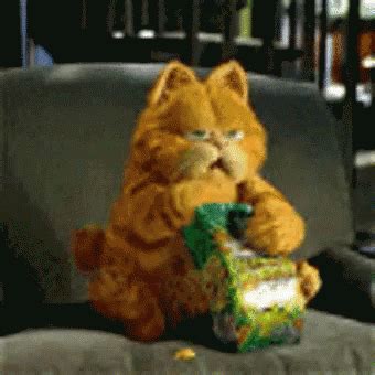 Garfield Eating GIF – Garfield Eating Hungry – Откриване и споделяне на ...