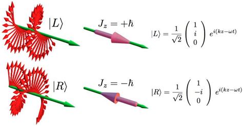 Spin angular momentum of light - Alchetron, the free social encyclopedia