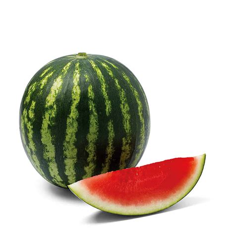 Belinda | F1 Seedless Mini Watermelon Seed - ActiveVista for Market-Farm & Garden