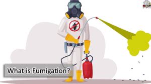 What is Fumigation? Types of Fumigation Service