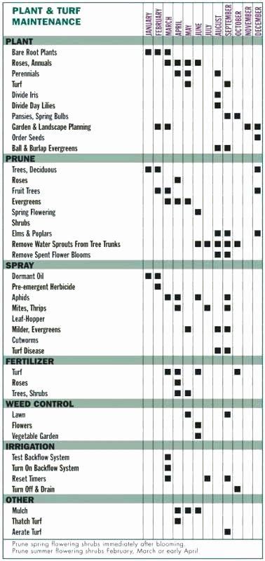 Landscape Maintenance Schedule Template Best Of Landscape Maintenance ...