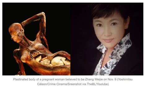 Missing Chinese journalist: Is her body on display at the macabre Body ...