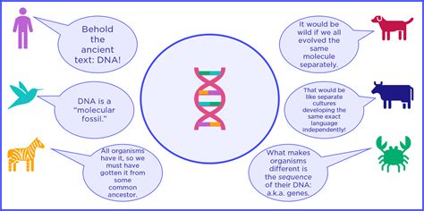 Examples Of Dna Evidence