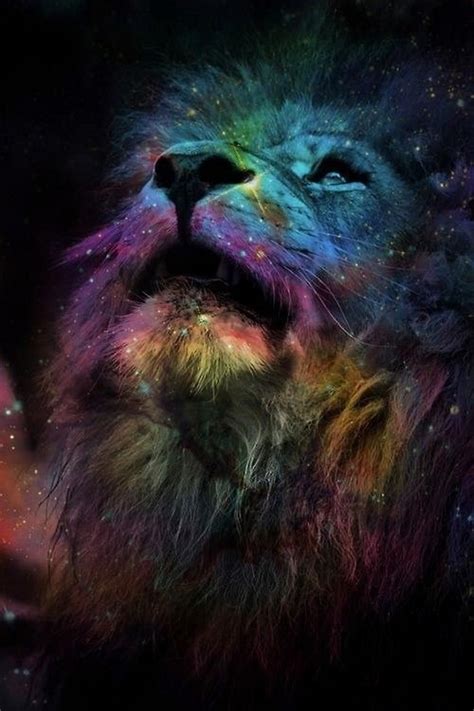 🔥 [40+] Rainbow Lion Wallpapers | WallpaperSafari