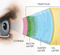 Importance of Tear Film and Eye Health | Refresh Brand - Allergan