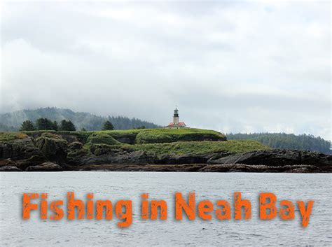 neah bay fishing feature