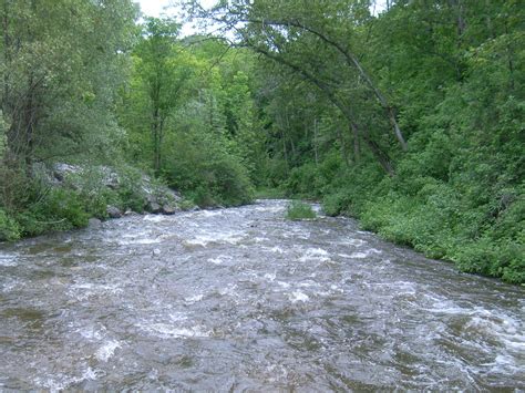 Bear River - Tip of the Mitt Watershed Council