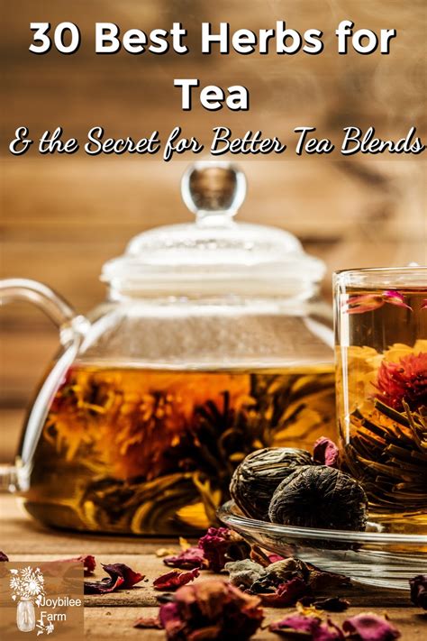 30 Best Herbs for Tea and the Secret for Better Tea Blends