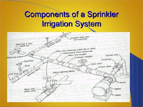 Irrigation methods in india