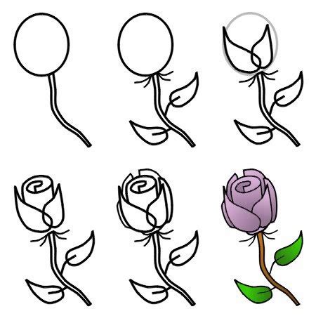 How to Draw a Rose Step by Step Drawings