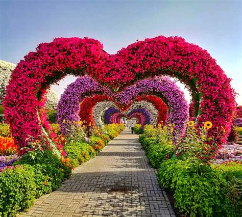 Valentine's Day at Dubai Miracle Garden | Miracle garden, Beautiful ...